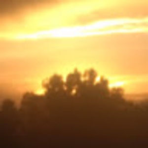 Meet your Posher, Trisha